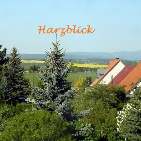 Ferienhaus "Harzblick" Halberstadt Esterno foto
