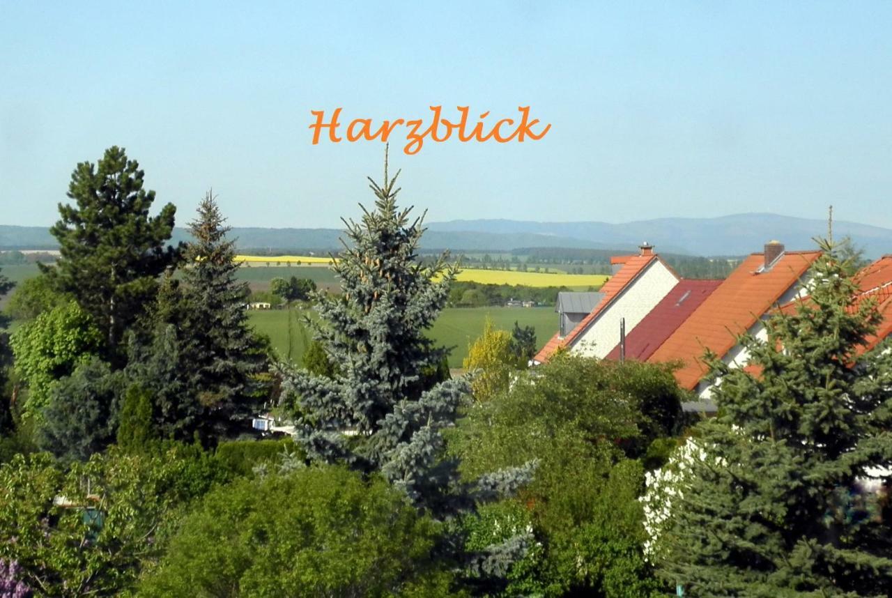 Ferienhaus "Harzblick" Halberstadt Esterno foto